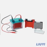 北京六一转印电泳仪 DYCZ-40D型 迷你转印电泳仪(小号)