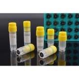 耐思 2.0 mL 二维码冻存管，内旋盖，圆底可立，10*10盒装