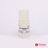 索莱宝 氨苄青霉素储存液/10ml(100mg/ml)（A1170）