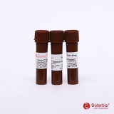索莱宝 Zeocin Selection Reagent/8瓶装（100mg/mL）（Z8020