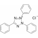 上海源叶 红四氮唑BR，99% 10g