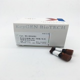 凯基 活细胞/凋亡细胞/坏死细胞鉴别试剂盒（AO/EB法.荧光显微镜） 50 tests