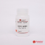 索莱宝 无酶无菌水/100ml（R1600）