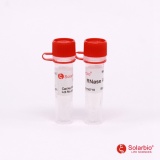 索莱宝 RNase A溶液(10mg/ml )（R1030）