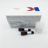 凯基 Annexin V-PE细胞凋亡检测试剂盒 10 tests