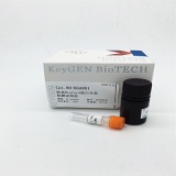 凯基 Bradford蛋白含量检测试剂盒（考马斯亮蓝G-250）100tests