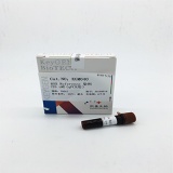 凯基 ROX Reference 核酸染料 (25 mM) 200 μl