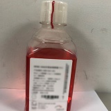 凯基 完全RPMI-1640培养基（含新生牛血清，双抗） 500ml