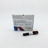 凯基 细胞质绿色荧光染料 Calcein,AM   100ul
