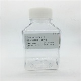 凯基 抗体清除液（酸性） 500ml