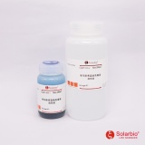 索莱宝 考马斯亮蓝染色套装（染色液+脱色液）（P1305）