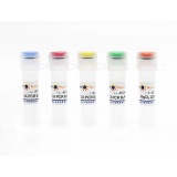 碧云天 GC-rich PCR Buffer (4种套装)(D7226)