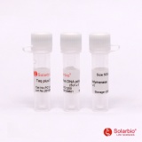 索莱宝 Taq Plus DNA Polymerase/500U（PC1200）
