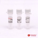 索莱宝 通用引物 Oligo T16（PC2450）