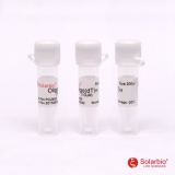 索莱宝 通用引物 Oligo T16（PC2450）