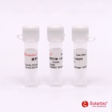 索莱宝 通用引物 1492R/1ml（PC2462）