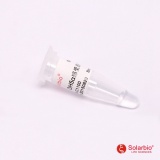 索莱宝 DH5α感受态细胞/20支装（C1100）