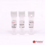 索莱宝 JM109受体菌（C1310）