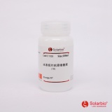 索莱宝 20×SSC/100ml pH5.3（S1035）