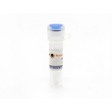 碧云天 ACTH(1-24) human (人促肾上腺皮质激素, 1-24)(P9019-25mg)
