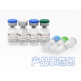 碧云天 Recombinant Rat CINC-1/CXCL1(重组大鼠CINC-1/CXCL1)(P6852-5μg)