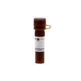碧云天 辣根过氧化物酶 (High Purity, ≥340U/mg)(P2369-500mg)