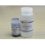 碧云天 考马斯亮蓝染色试剂盒(常规法)(P0017A)