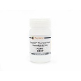 碧云天 BeyoGel Plus Native-PAGE Hepes电泳液(20X)(P0556-500ml)