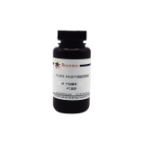 碧云天 15% SDS-PAGE下层胶预混液(P0675-250ml)