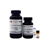 碧云天 12% SDS-PAGE凝胶超快速配制试剂盒(P0692)