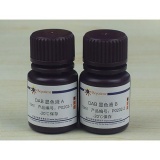 碧云天 DAB辣根过氧化物酶显色试剂盒(P0203)