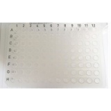 Axygen 爱思进 PCR-96-FLT-C 0.2ml透明无裙边96孔PCR板