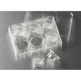 康宁（Corning）Transwell嵌套，含6孔板（PC膜24mm 0.4um)