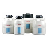 美国赛默飞 Thermo Scientific BioCane 液氮存储罐