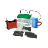 上海嘉鹏转印电泳仪 KEEBIO-VE186型 转移电泳槽