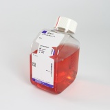 LIFE 21103-049 Neurobasal Medium