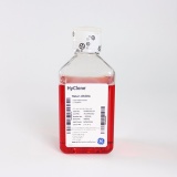 HyClone SH30253.01 M199液体培养基
