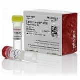 Thermo  Lipofectamine 3000/1.5ml