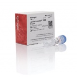 Thermo Lipofectamine™ 2000 （1.5ml）