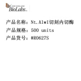 NEB Nt.AlwI 切刻内切酶 限制性内切酶 500 units