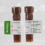 BioFroxx 1113MG100 氧化型辅酶I [NAD]