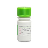 BioFroxx 2275GR001 胶原酶II型Collagenase II 2-8度