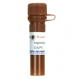 碧云天 DAPI(DAPI荧光染料)(C1002)