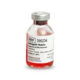 康宁（Corning）BD Biocoat 356234 Matrigel 基质胶, LDEV-free