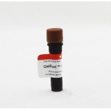 美国Biotium 41003 GelRed Nucleic Acid Gel Stain, 10,000X in water