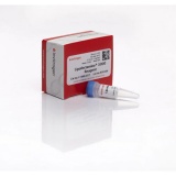 Thermo Lipofectamine 3000/0.75ml