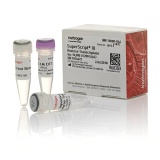 Thermo Scientific™ Invitrogen™ 18080044 SuperScript™ III 逆转录酶（10000U）