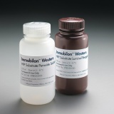 Millipore WBKLS0500 Immobilon Western HRP 底物，2x250mL