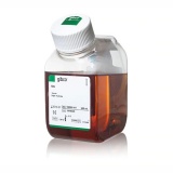 LIFE Invitrogen Gibco™  10270106 胎牛血清