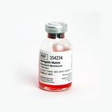 康宁（Corning）BD Biocoat 354234 Matrigel 基质胶，LDEV-free